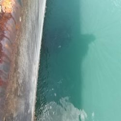 アジングタックルでライトゲーム