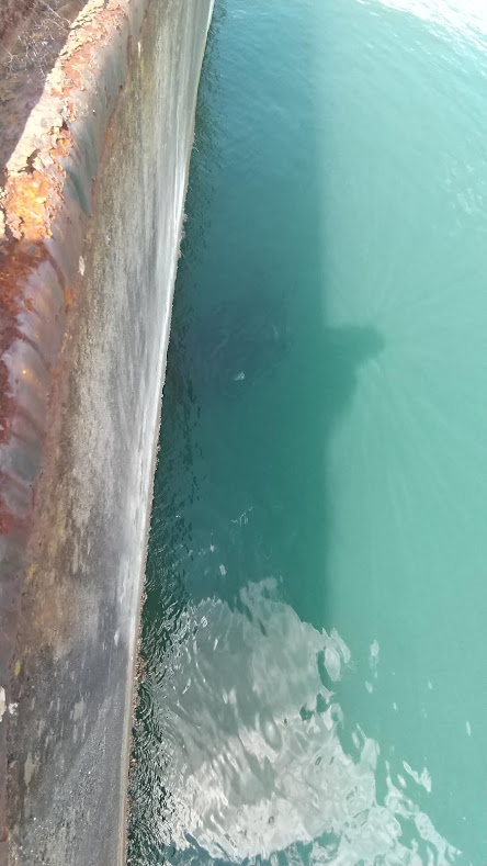 アジングタックルでライトゲーム