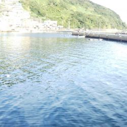 当たりは多いねんけどなぁ