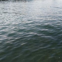 水濁りが消えたから……