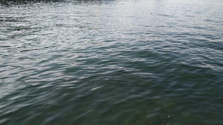 水濁りが消えたから……