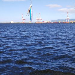 ぶら朝コスモ!!