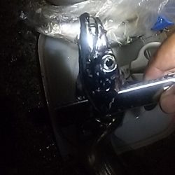 良型アジ⇒ウキタチ