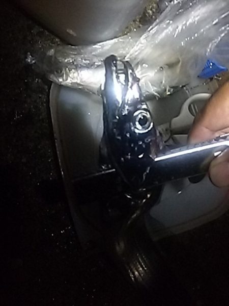 良型アジ⇒ウキタチ