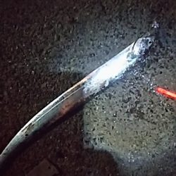 たちうおエサなくなるまで釣れる