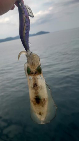 今季初エギング！