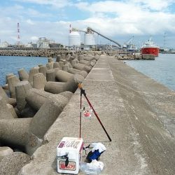 高砂港でリベンジキス