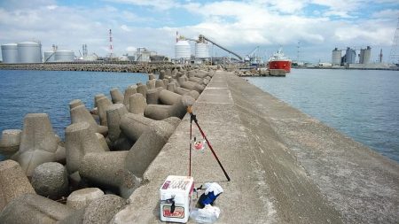 高砂港でリベンジキス