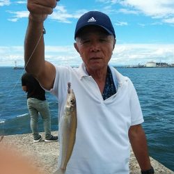 今日も釣友と播磨新島へ連投