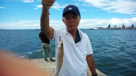 今日も釣友と播磨新島へ連投