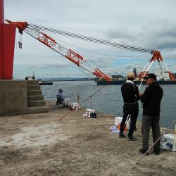 播磨新島へ３連投