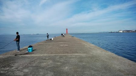 播磨新島へ４連投