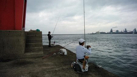 雨の播磨新島へキス調査　
