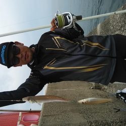 ピークを迎えた播磨新島のキス