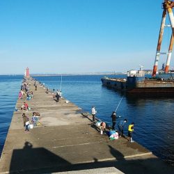 海水の汚れが気になります