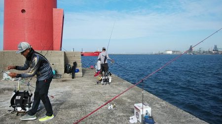 今日も播磨新島の様子を見て来ました