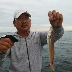 早朝から播磨新島へキス調査