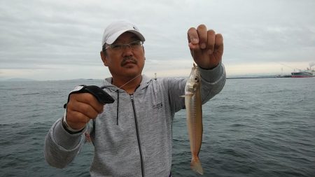 早朝から播磨新島へキス調査