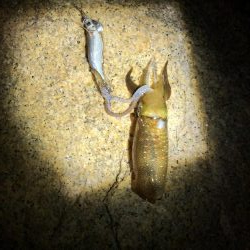 祝日は何処も激混み