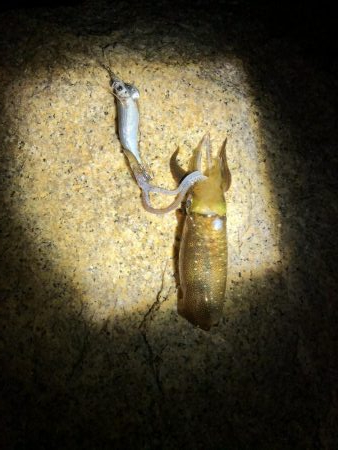 祝日は何処も激混み