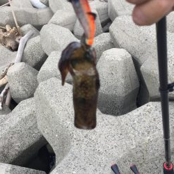 ちっちゃくなった