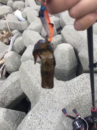 ちっちゃくなった