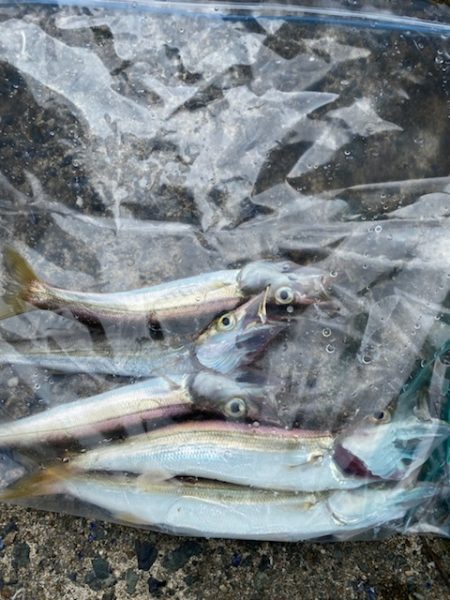 早く大きくな～れ！