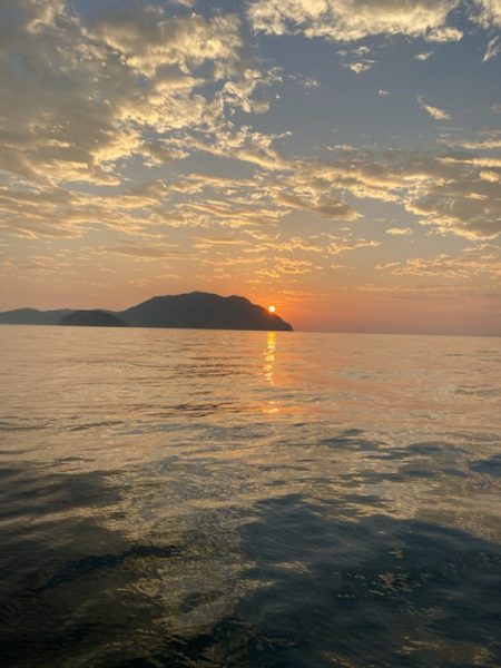 イカよりカマスが成長中！！