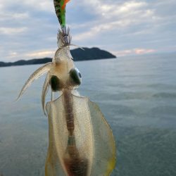 エギロストの犯人は・・・