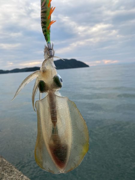 エギロストの犯人は・・・