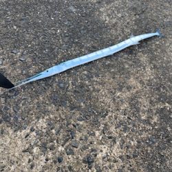 過去最高の・・・