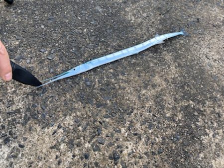 過去最高の・・・