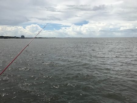 ゼンメ、アナゴ