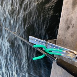 たまにはサビキ釣り