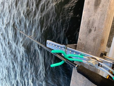 たまにはサビキ釣り