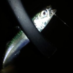 アシストフックを試してみた