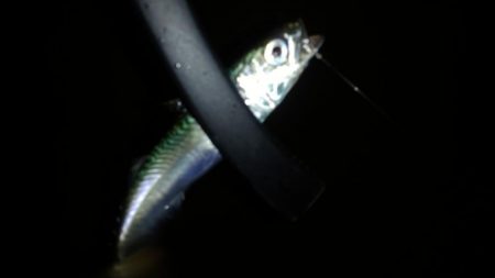 アシストフックを試してみた