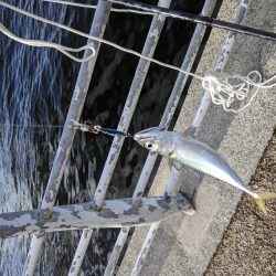 久しぶりのサバゲー