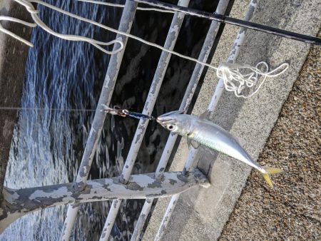 久しぶりのサバゲー