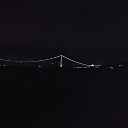 人がいっぱいなんです