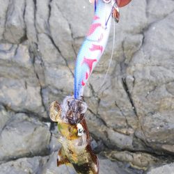 キャンプついでの釣り!