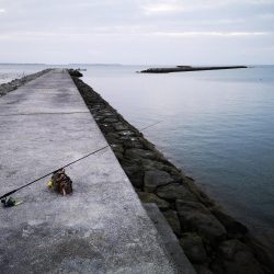 １ヶ月ぶりの釣果