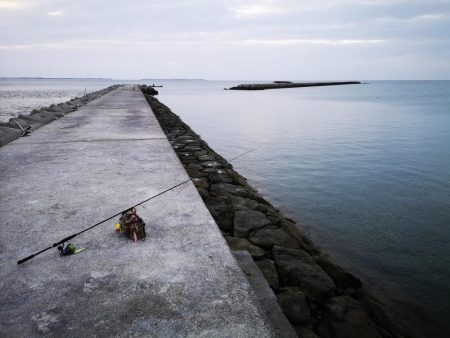 １ヶ月ぶりの釣果