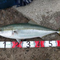 水潮攻略！思惑通りにメジロGET！