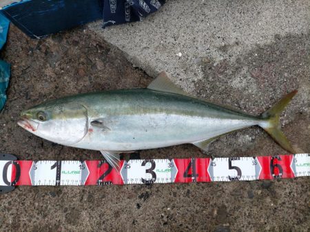 水潮攻略！思惑通りにメジロGET！