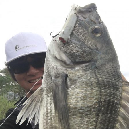 ライド オン パレード!