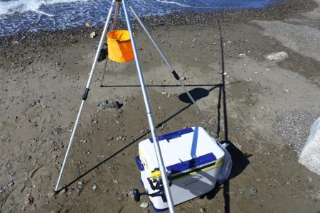 初秋の投げ釣り ピンギスばかり