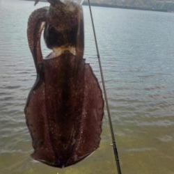 朝寝坊で導かれた？