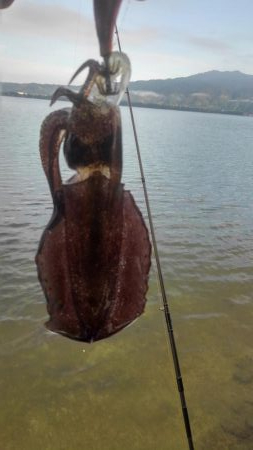 朝寝坊で導かれた？