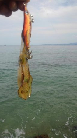 連休に連チャン調査